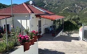 Alex House