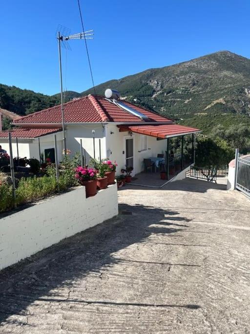 Alex House Διαμέρισμα Πάργα Εξωτερικό φωτογραφία