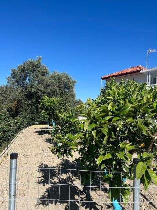 Alex House Διαμέρισμα Πάργα Εξωτερικό φωτογραφία