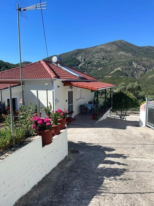 Alex House Διαμέρισμα Πάργα Εξωτερικό φωτογραφία